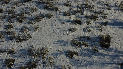 krajobraz zima drzewa śnieg rośliny natura © Piotr