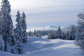 L'Alpstein et sa forêt aux conditions hivernales - Suisse
