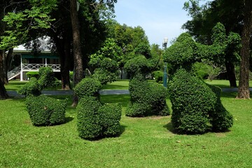 Dwarf Trees in the Rabbit Shape in the Park at Bang Pa-In Royal Palace.