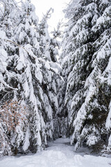 Winterwonderland in der Schweiz