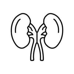 Ureter Kidney medical line icon