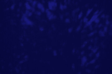 Bush Shadow on Phantom Blue Color Concrete Wall.