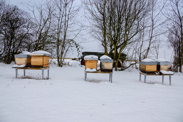 schneebedeckte und vereiste Bienenbeuten im Winter