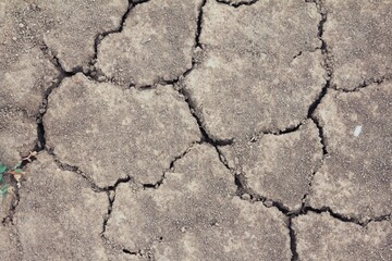 Dry earth ground land global. Changing of the climate.