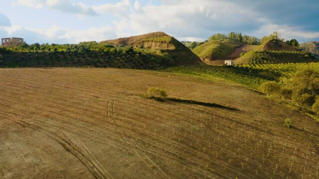 Campo per coltivazioni biologiche dop