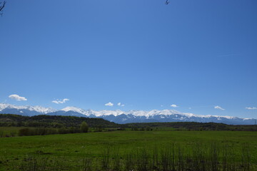 Green field and blue sky with snowy mountains in the background