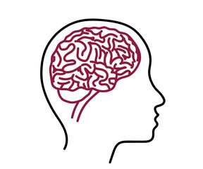 Silhouette of the head and brain on a white background. Vector illustration.