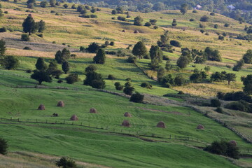 Fototapeta na wymiar Green fields trees and haystacks