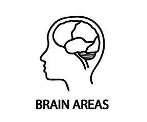 Silhouette of the head and brain on a white background. Brain areas. Vector illustration.