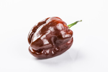 Chocolate Habanero extra hot chilli, brown habanero