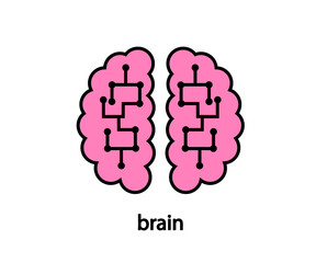 Human brain on a white background. Vector illustration.