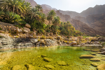 Clear, green water of Wadi Tiwi, Oman