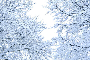 Winter snow storm in Montreal Canada on Jan 15, 2021