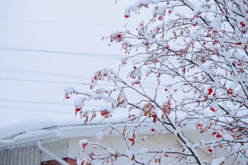 Winter snow storm in Montreal Canada on Jan 15, 2021