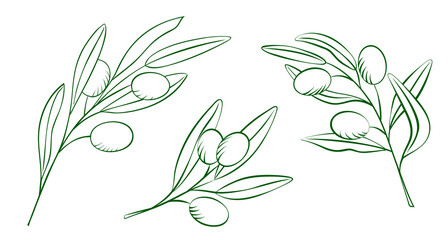Fototapeta premium Set of olive branches in sketch style