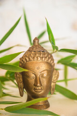 Buddha head and green bamboo on light background. Vertical picture