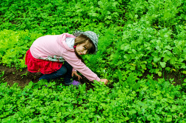 young girl watered the garden .