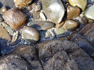 Fernando de Noronha, Brazil