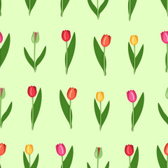 A set of Tulips of different colours