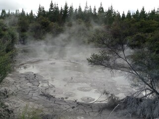 Steaming mud in New Zealand