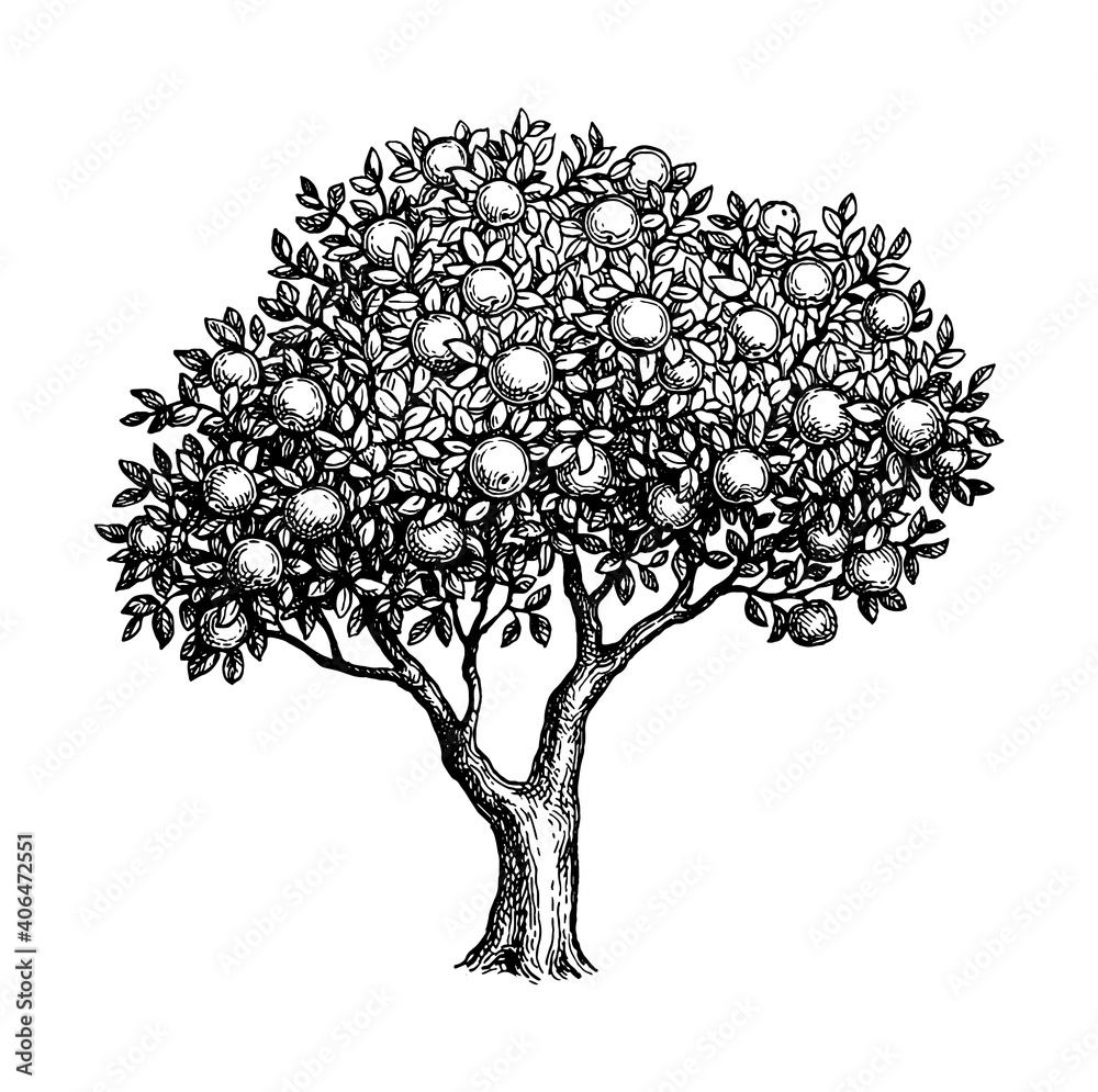 Poster ink sketch of apple tree.