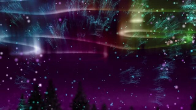 Animation of green, pink and blue aurora borealis lights moving over fir trees
