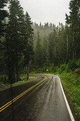 Fototapeta na wymiar Foggy road in the forests of Oregon 
