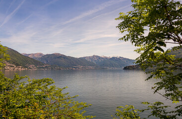 Peaking through trees across a lake