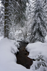 a small river in a beautiful winter landscape