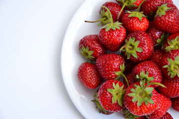 Strawberries on white plate. Freshly picked strawberry. Organic berries on white background. Village garden harvest.