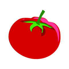 red tomato illustration
