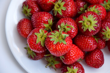 Strawberries on white plate. Freshly picked strawberry. Organic berries on white background. Village garden harvest.