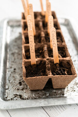 Planting seeds