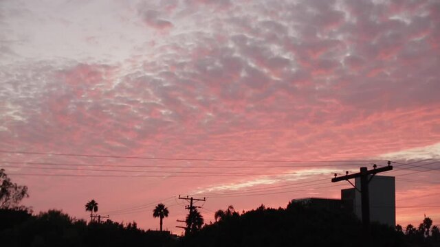 Los Angeles Pink Sunset With Telephone Wires and Palm Trees