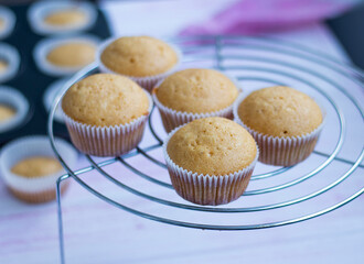  freshly baked cupcakes cool on a grid against a background of blurry pastry molds with muffins. High quality photo