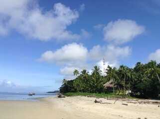 Naklejka premium beach with palm trees