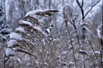 Winterlandschaft mit Eis und Schnee