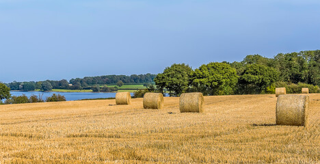 Fototapeta premium Circular hay bales await collection on the shores of Rutland Water reservoir in summertime