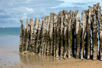 Big breakwater, 3000 trunks to defend the city from the tides  in Saint-Malo, Ille-et-Vilaine, Brittany, France