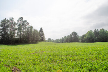 landscape field with hills and forests in summer .