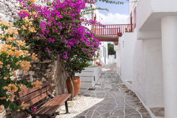 street with flowers on a greek island