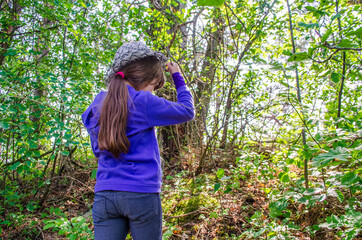 little girl picking mushrooms in the pine forest .