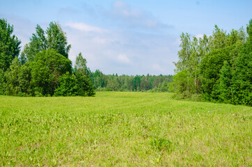 landscape field with hills and forests in summer .