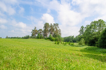landscape field with hills and forests in summer .