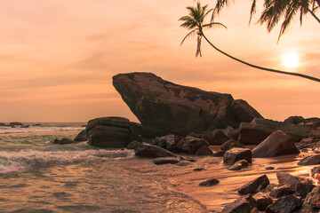 sunset on the beach in Sri Lanka