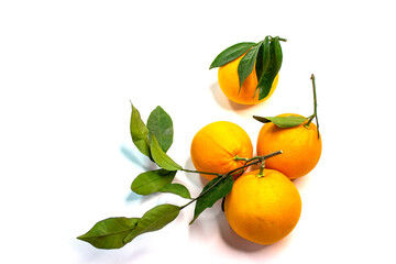 Oranges. Ripe round fruits with green twigs and leaves. Textured orange peel. Close-up on a white background.