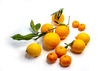 Citrus fruits oranges, tangerines, lemons in bulk. A composition of ripe orange and yellow fruits with green twigs and leaves on a white background.