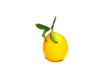 Lemons. Ripe yellow-orange fruits with green twigs and leaves. Textured crust. Healthy citrus. Close-up on a white background.