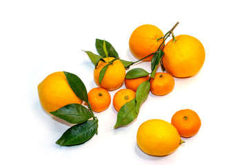 Citrus fruits oranges, tangerines, lemons in bulk. A composition of ripe orange and yellow fruits with green twigs and leaves on a white background.