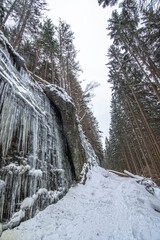 Eiszapfen an einer Felswand im Wald